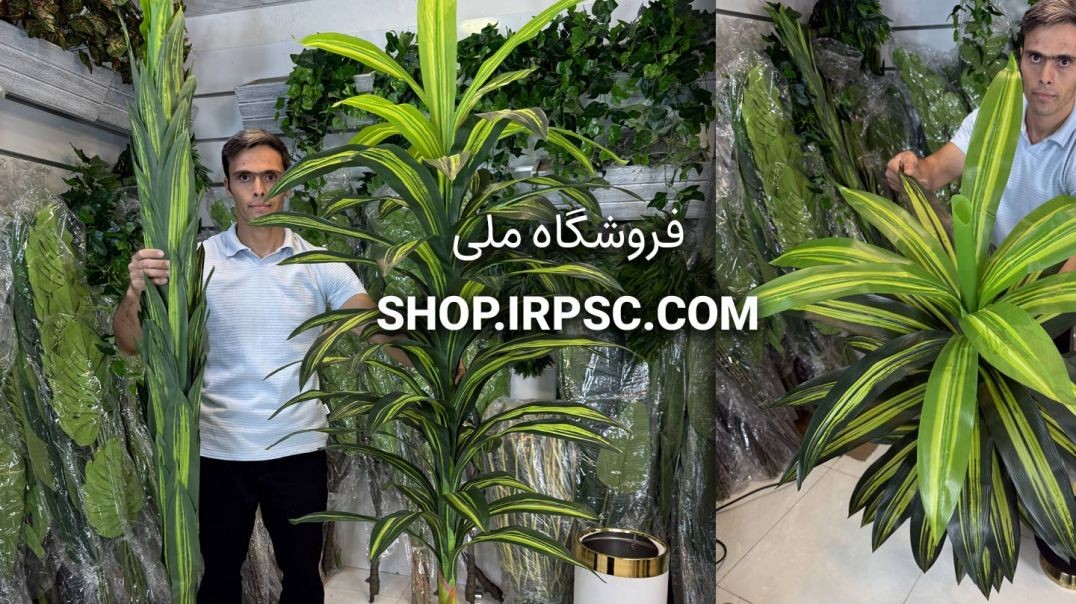 درختچه مصنوعی دراسینا ابلق دو مدل در ارتفاع ۱۸۰ و ۲۰۰ سانتی