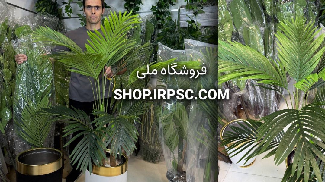 درختچه مصنوعی نخل کنتیا ۳ تنه، ۱۱ برگ، سبز تیره و روشن