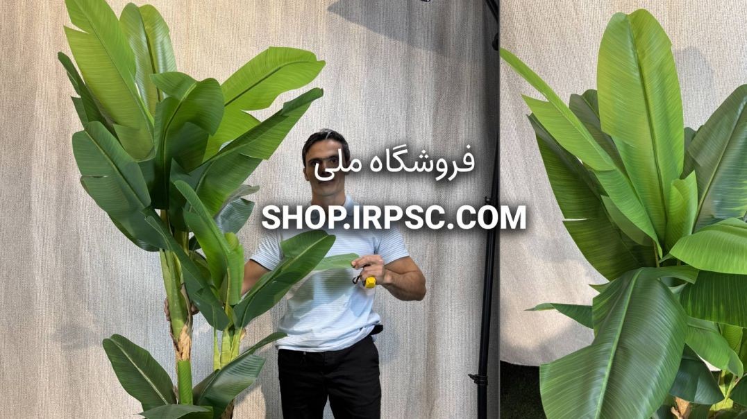 درختچه مصنوعی موز با ارتفاع ۲ متر و ۲۰ برگ چرمی پهن سبز تیره و روشن