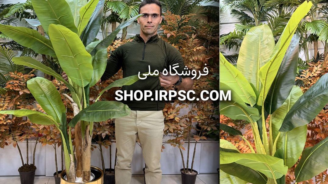 ⁣🌴 درختچه مصنوعی موز با تنه طبیعی و برگ‌های پینی 🌴