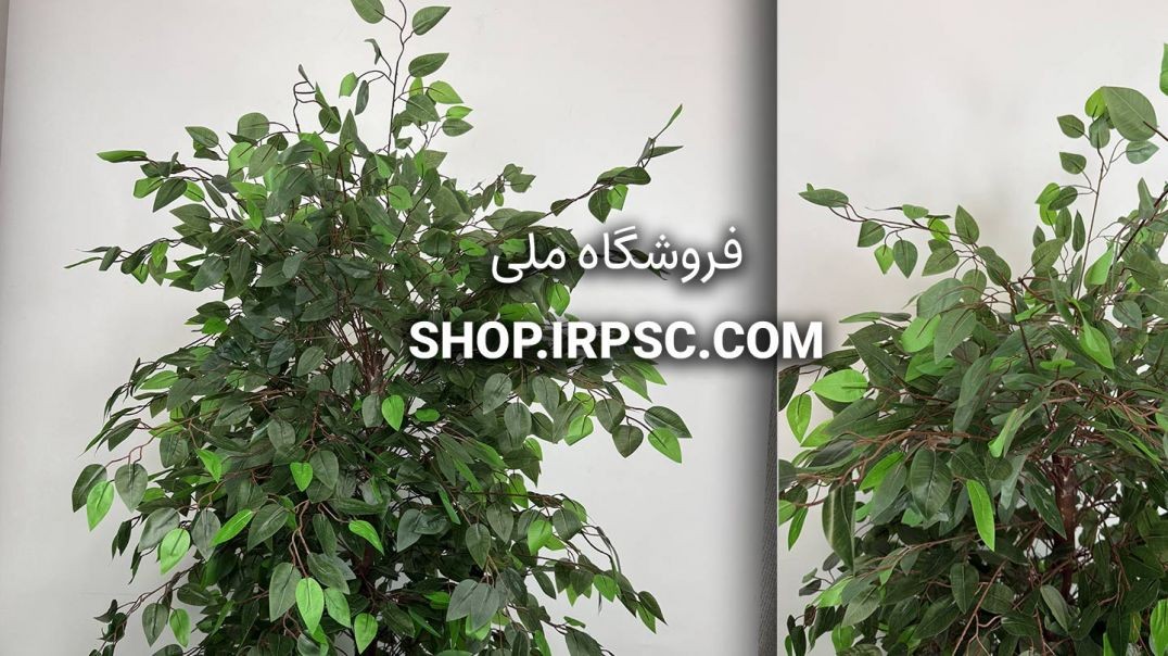 ⁣درختچه مصنوعی بنجامین ارتفاع ۱.۷ متری، تراکم ۹۰ سانتی‌متر