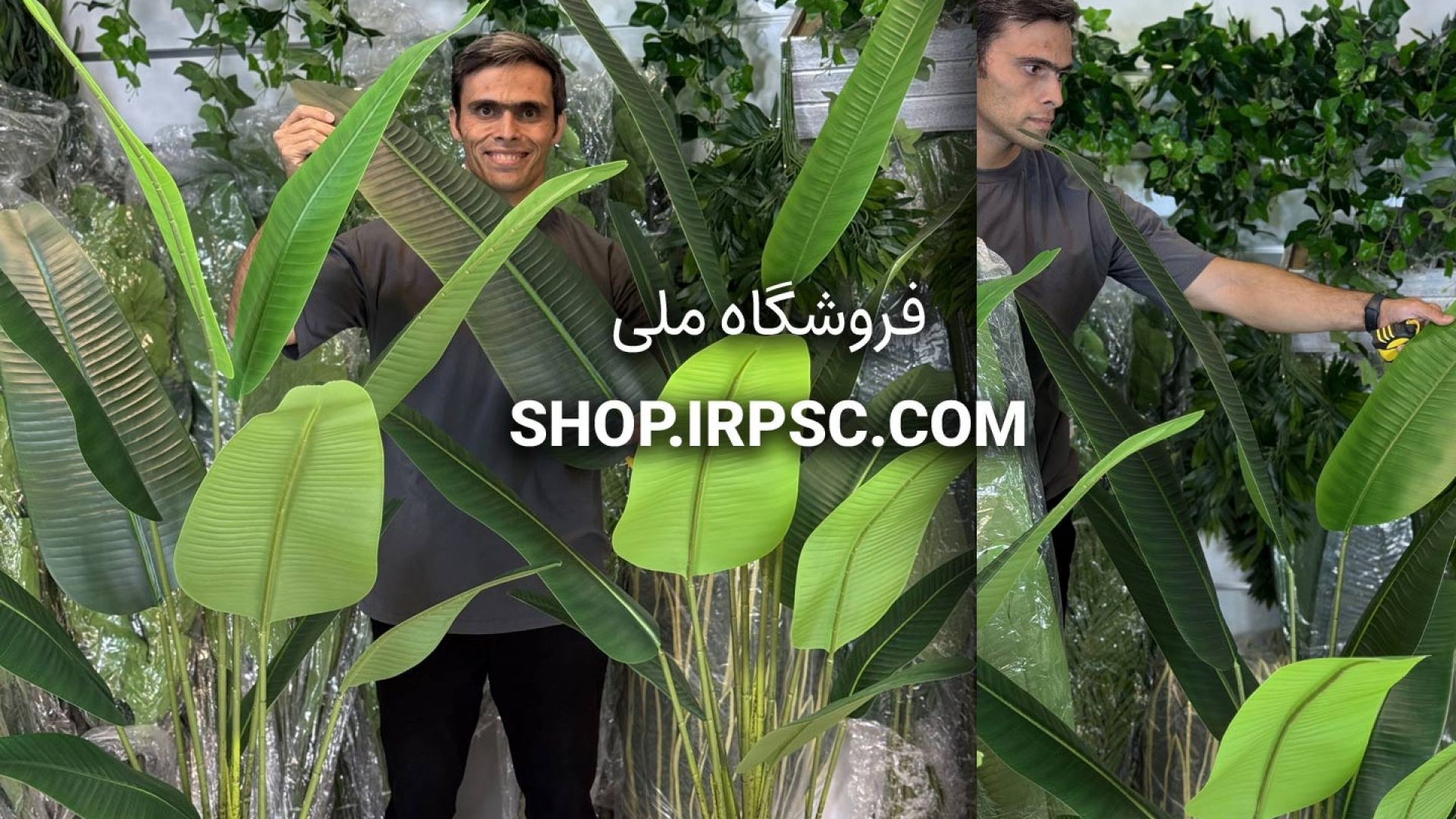 ⁣سه مدل درختچه مصنوعی پرنده بهشتی ارتفاع ۱۶۰ تا ۱۸۰ سانتی