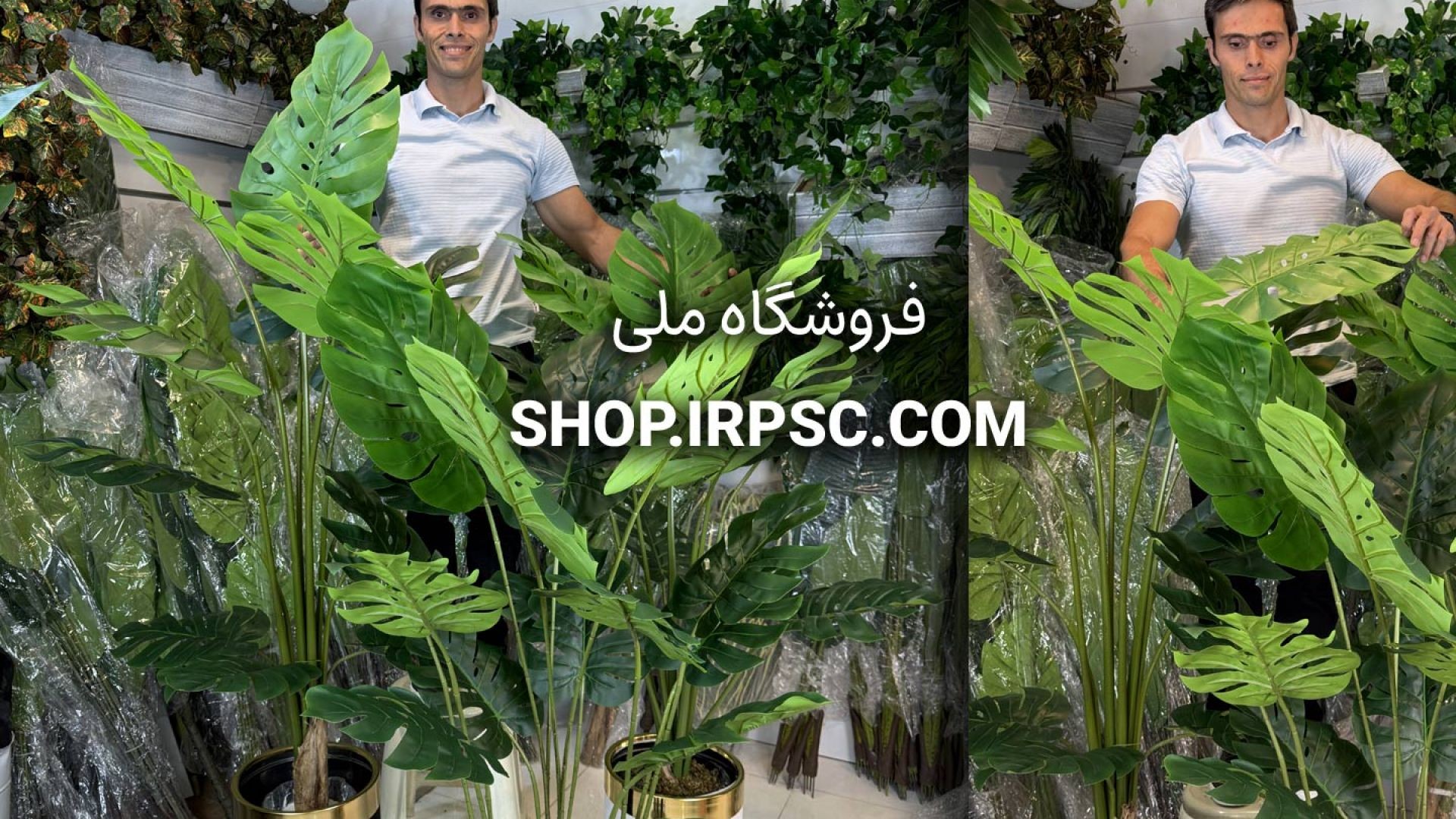 ⁣انواع درختچه مصنوعی برگ انجیری در سه مدل متنوع با طراحی طبیعی
