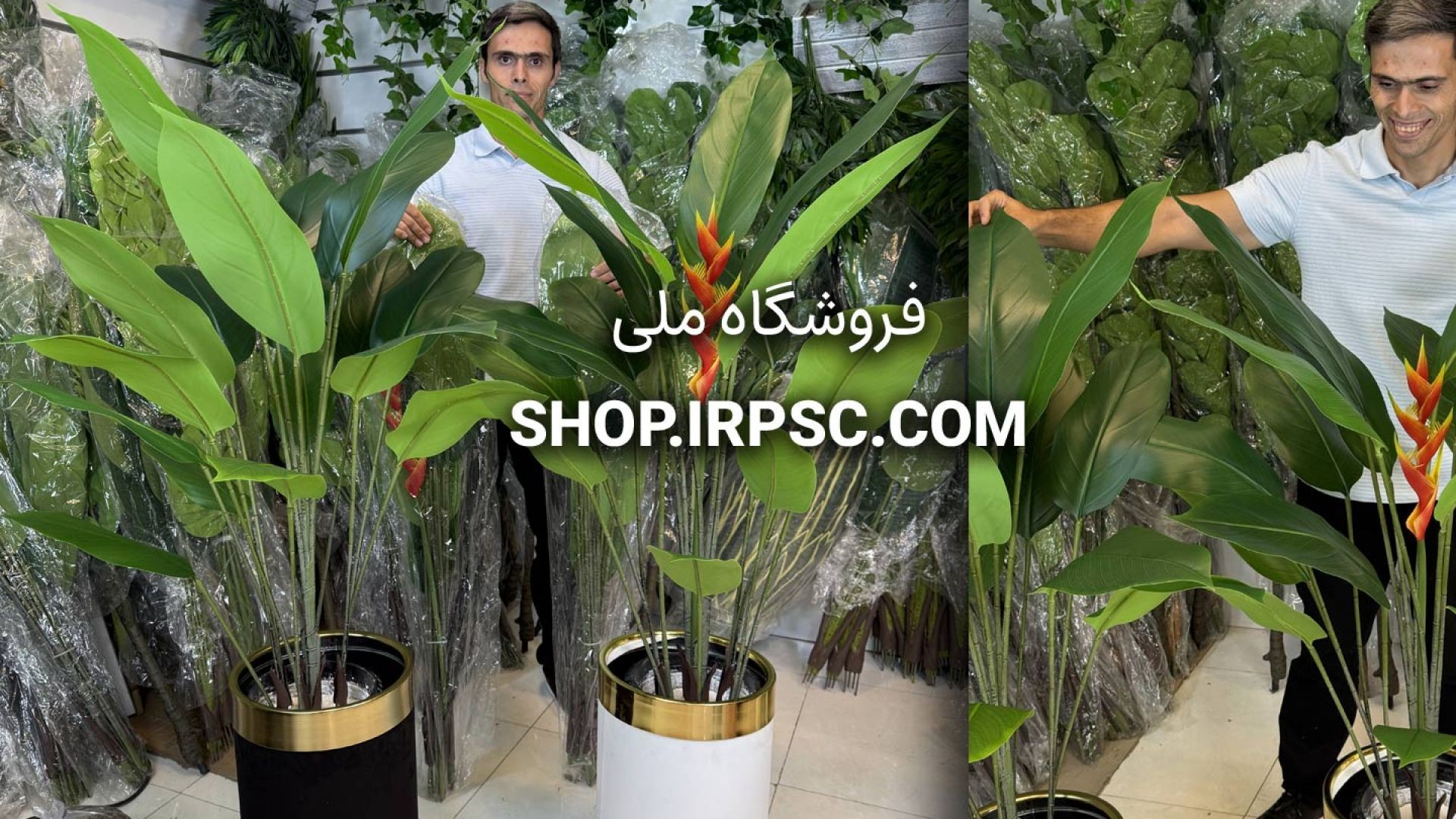 ⁣درختچه مصنوعی پرنده بهشتی استرلیتزیا دو مدل گلدار و بدون گل، ارتفاع ۱۳۰ سانتی