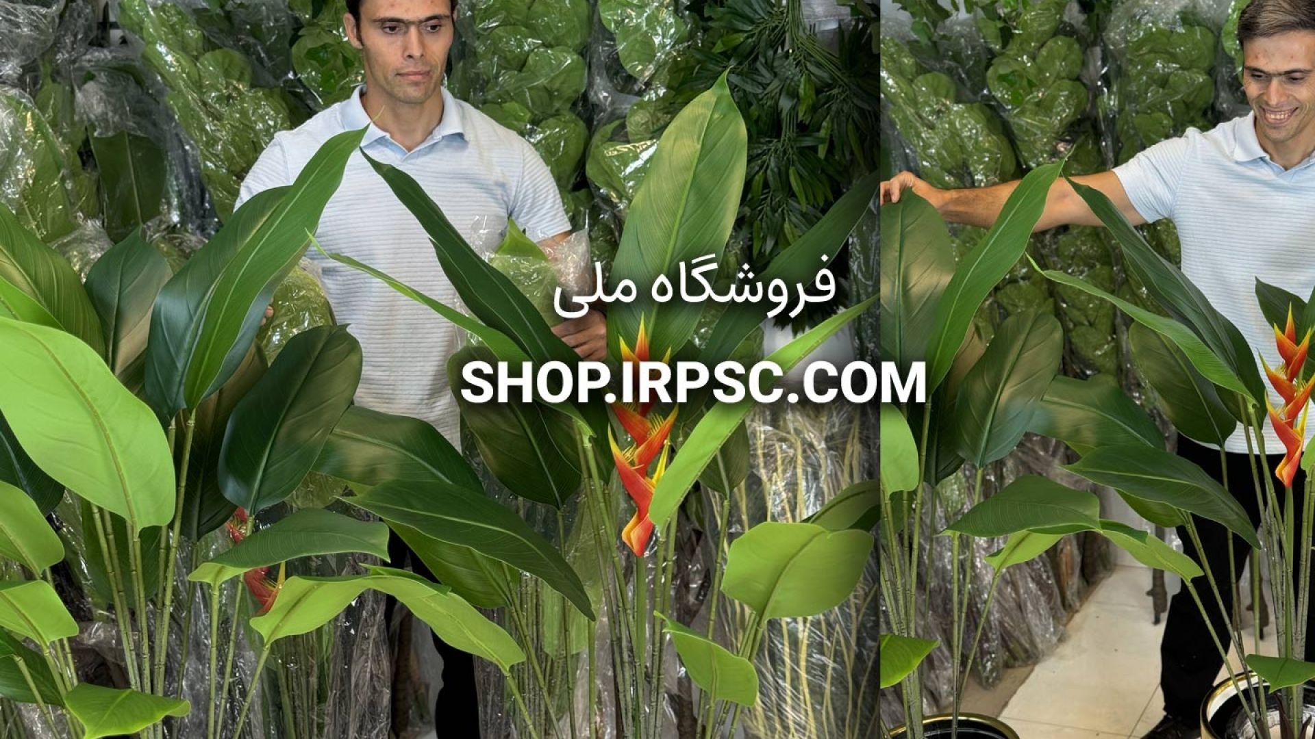 ⁣دو مدل درختچه مصنوعی پرنده بهشتی گلدار و بدون گل، ارتفاع ۱۳۰ سانتی