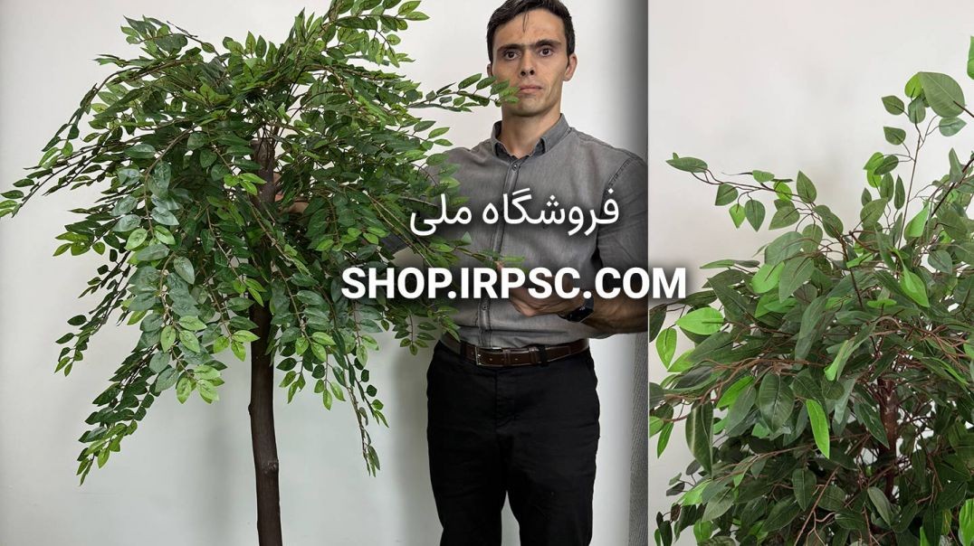 ⁣درختچه مصنوعی ون(زبان گنجشک) ارتفاع ۱۷۰ سانتی‌متر، تنه طبیعی
