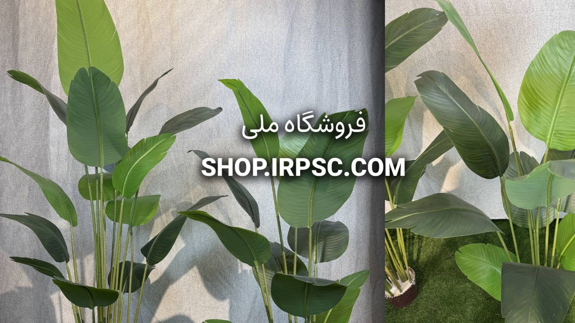 ⁣دو مدل درختچه مصنوعی پرنده بهشتی ارتفاع ۱۶۰ و ۱۹۰ سانتی