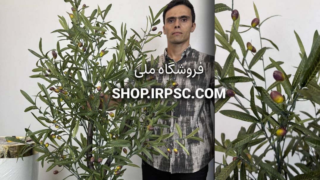 ⁣درختچه مصنوعی زیتون ارتفاع ۱.۵ متری، برگ پارچه‌ای و تنه طبیعی