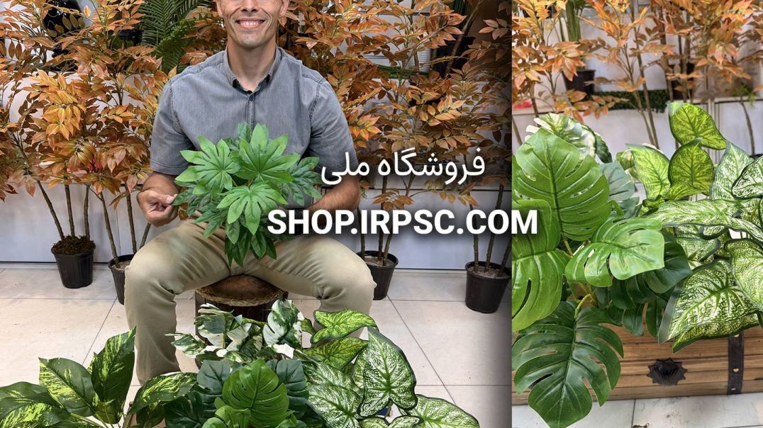⁣🌱 بوته مصنوعی برگ پهن درجه یک با ۱۲ برگ در ۶ طرح متنوع 🌱