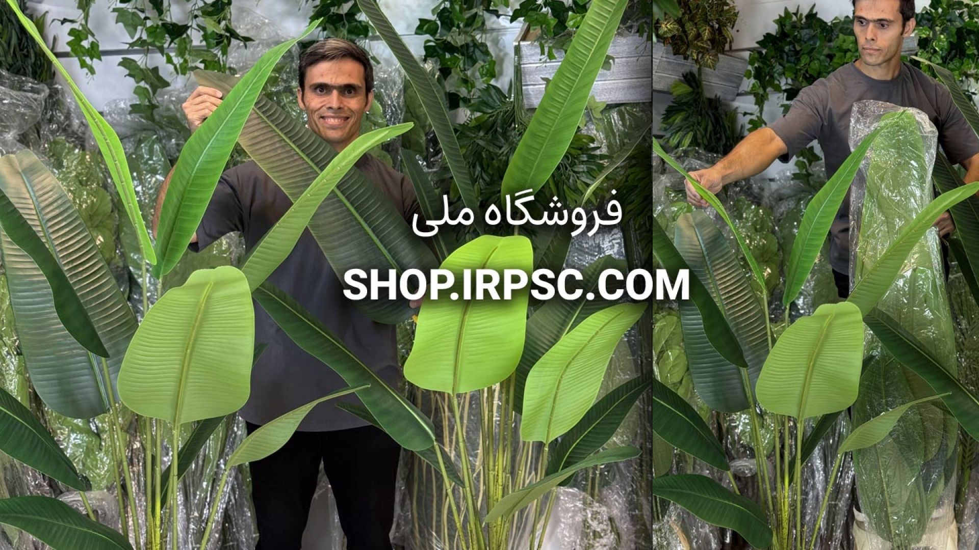 ⁣دو مدل درختچه مصنوعی نخل نیکولای ارتفاع ۱۶۰ و ۱۸۰ سانتی