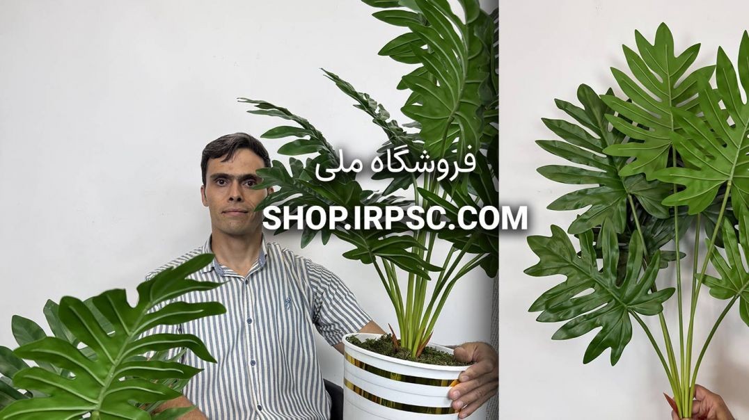 ⁣بوته مصنوعی آرالیا چرمی لمسی با ارتفاع 90 سانتی