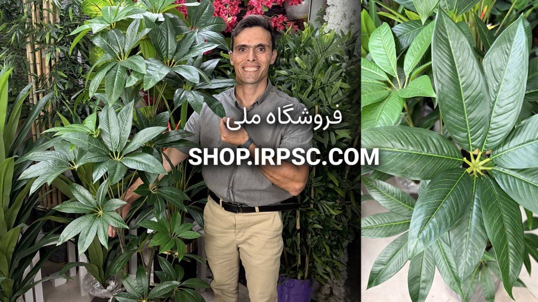 ⁣🌳 درختچه مصنوعی پاچیرا سبز با برگ‌های لمسی درجه یک 🌳