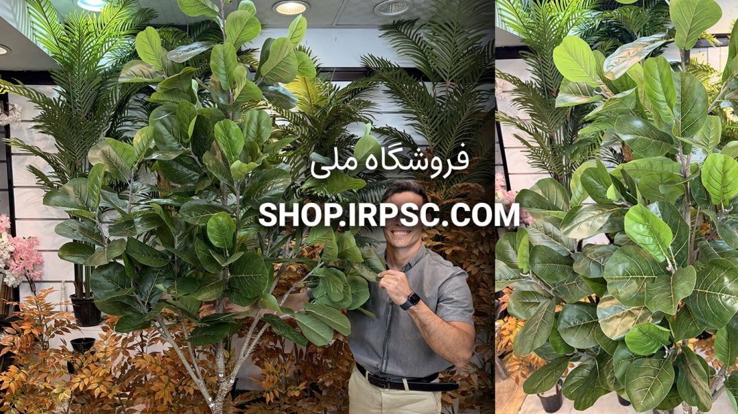⁣🌱 درختچه مصنوعی فیکوس لیراتا درجه یک لمسی با تنه فایبرگلس شیشه‌ای 🌱