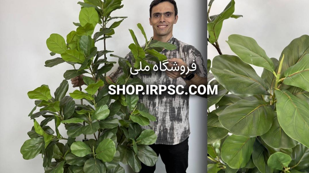 ⁣درختچه مصنوعی لیراتا ارتفاع ۱.۸ متری، ۳ تنه قطور
