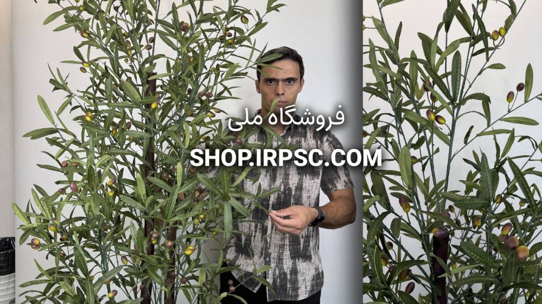 ⁣درختچه مصنوعی زیتون ارتفاع ۲ متری، ۴ تنه چوبی قطور