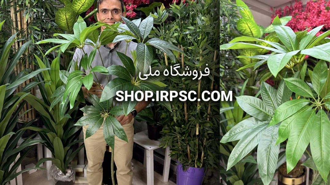 ⁣🍃 شاخه مصنوعی پاچیرا 1.5 متری 9 برگ 🍃