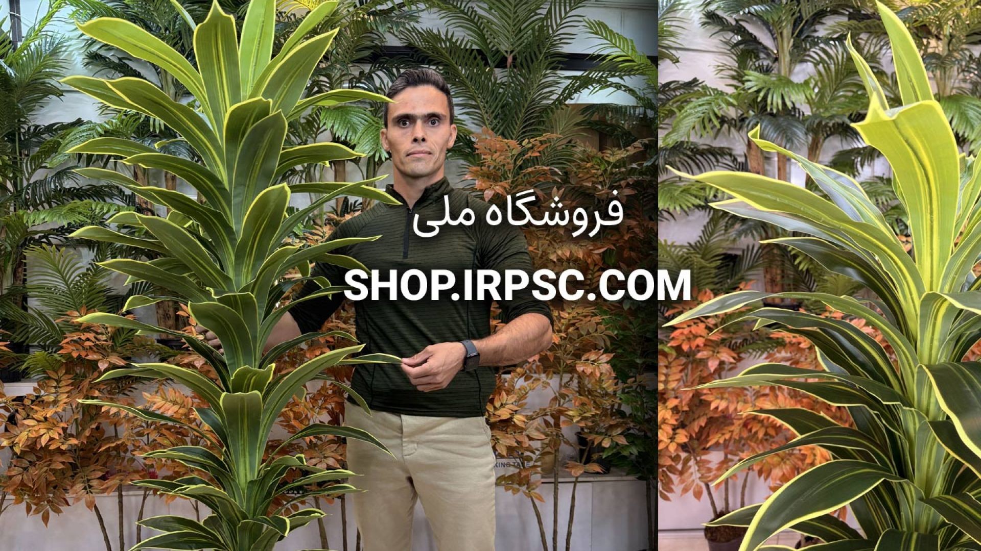 ⁣🌿 درختچه مصنوعی دراسینا بلالی ابلق سبز و زرد با ظاهر طبیعی و زیبا 🌿