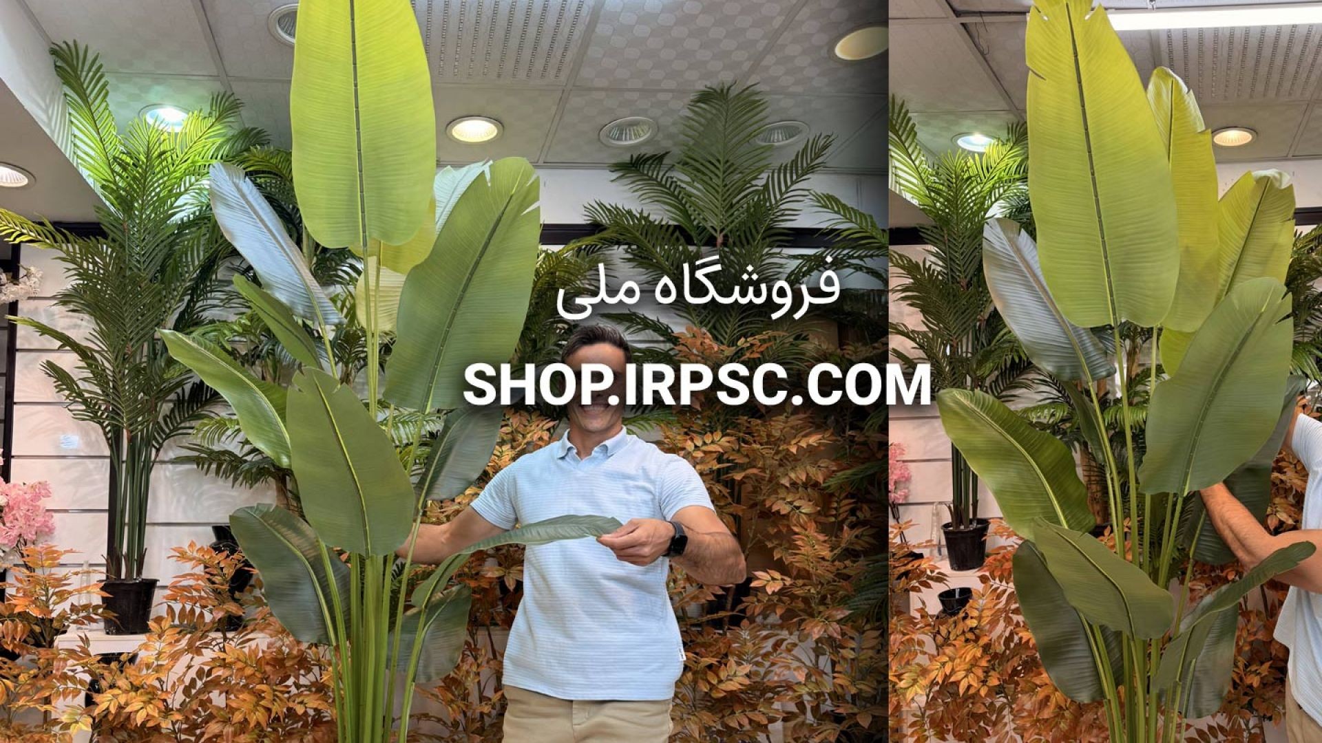 ⁣🌺 درختچه مصنوعی پرنده بهشتی ۱۲ برگ چرمی با شاخه‌های ژله‌ای و ارتفاع ۲۲۰ سانتی‌متر 🌺
