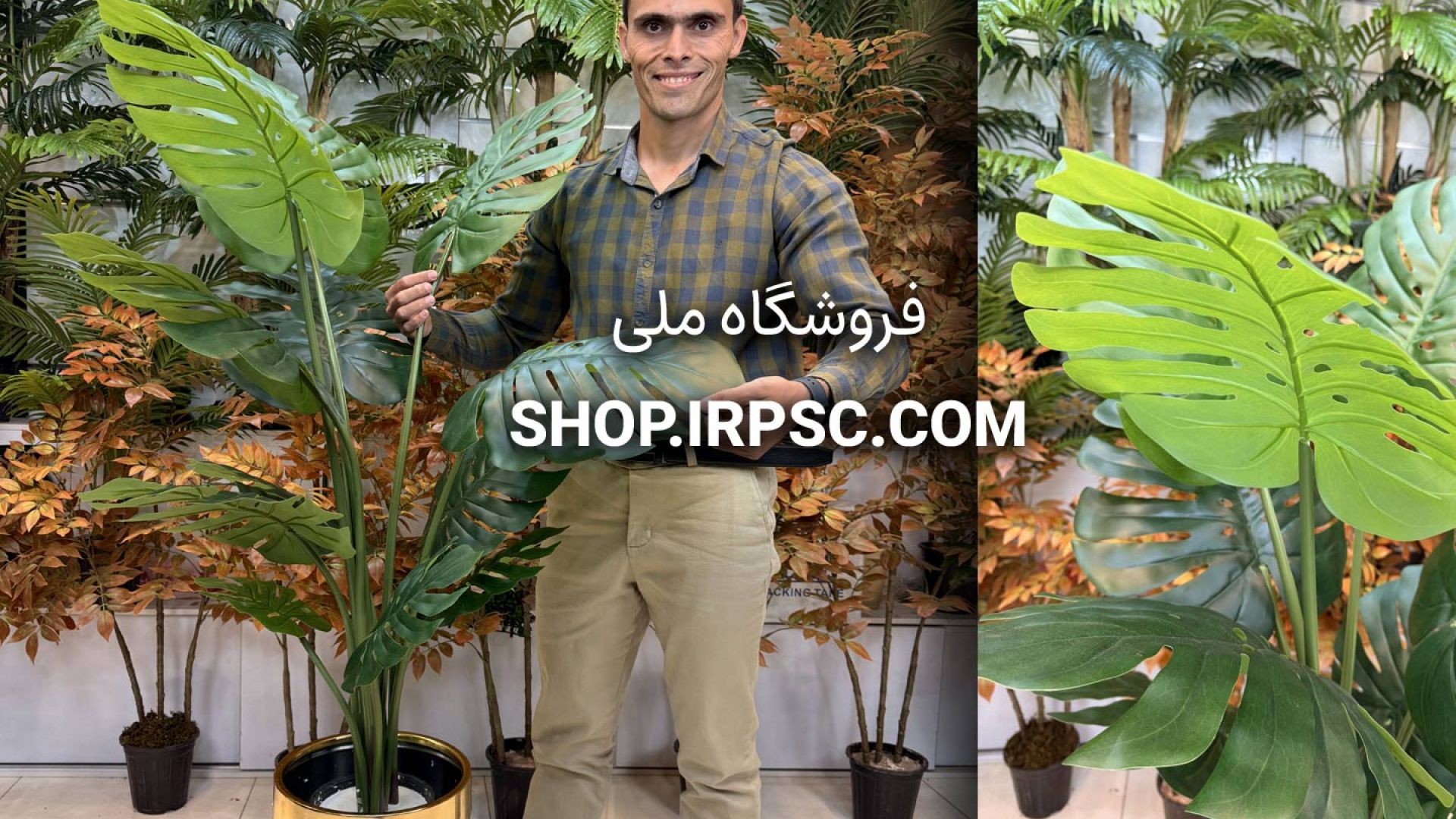⁣🌿 درختچه مصنوعی برگ انجیری مانسترا سبز طبیعی با ۱۲ برگ چرمی و طراحی سه‌تکه 🌿