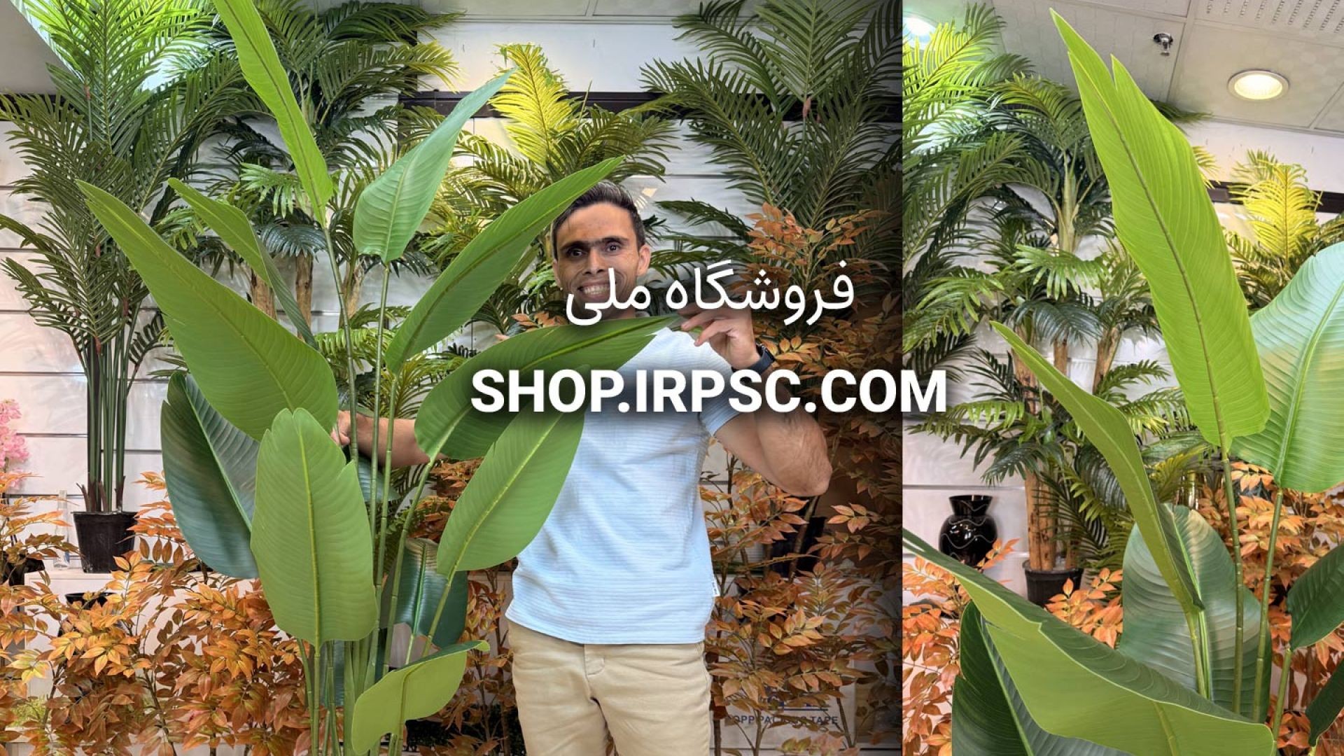 🌺 درختچه مصنوعی پرنده بهشتی ۱۳ برگ با ۳ تنه قطور و طراحی طبیعی 🌺