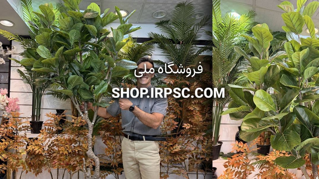⁣🌳 درختچه مصنوعی فیکوس لیراتا ۲.۵ متری 🌳