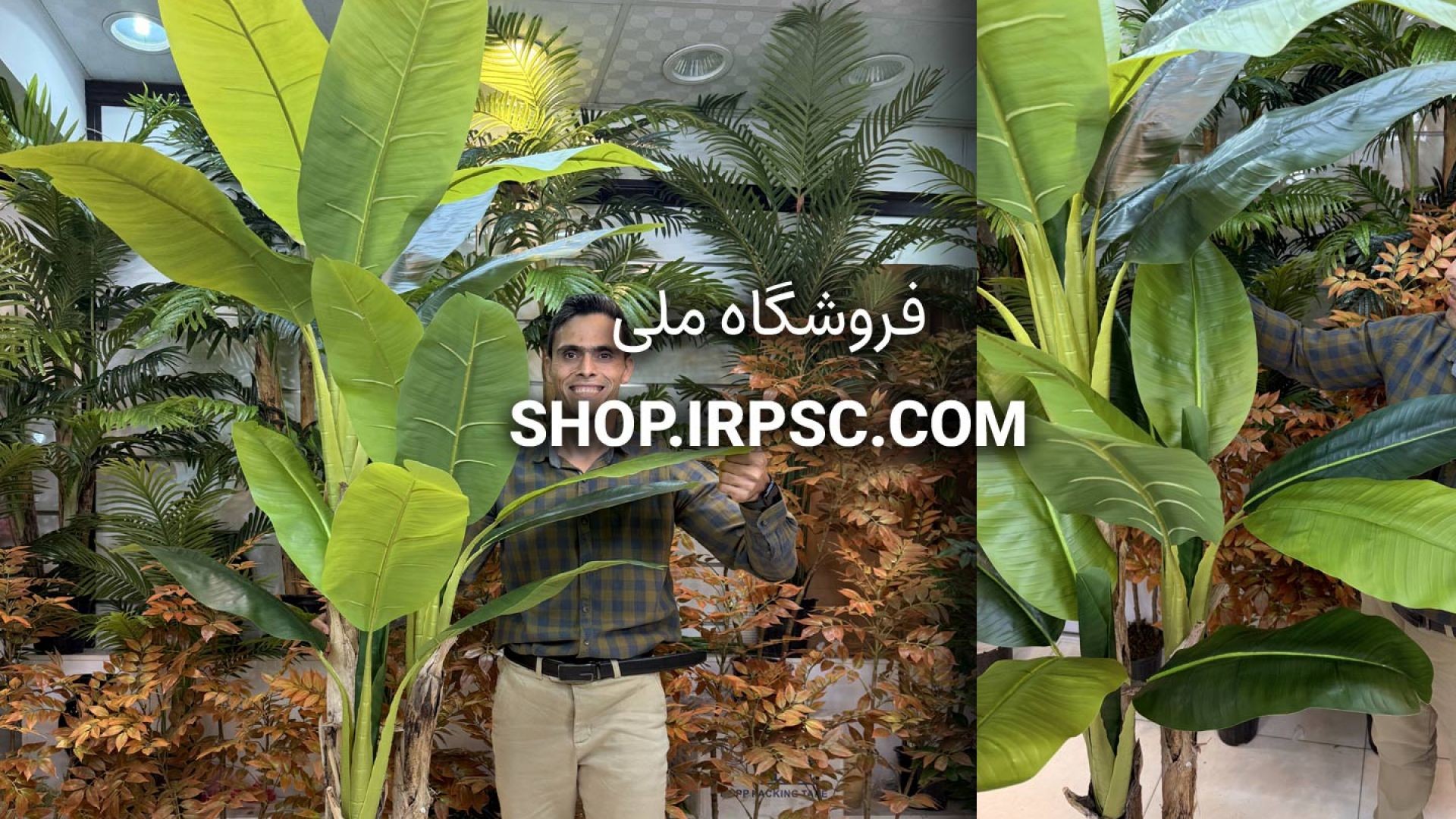 ⁣🌴 درختچه مصنوعی موز سه کوپه با برگ‌های سبز طبیعی و طراحی واقع‌گرایانه 🌴