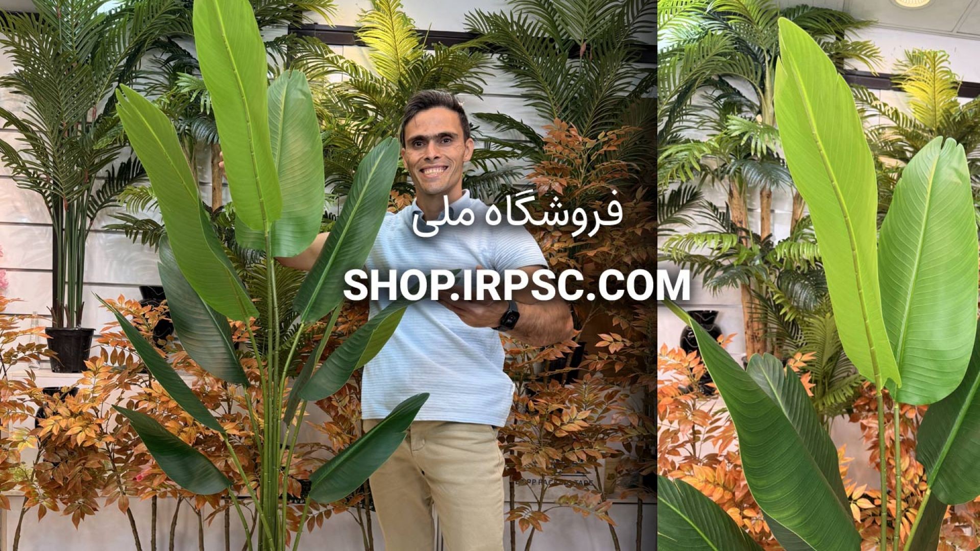 ⁣🌺 درختچه مصنوعی پرنده بهشتی ۱۰ برگ با ارتفاع ۱۶۰ سانتی‌متر و تراکم ۸۰ سانتی‌متر 🌺