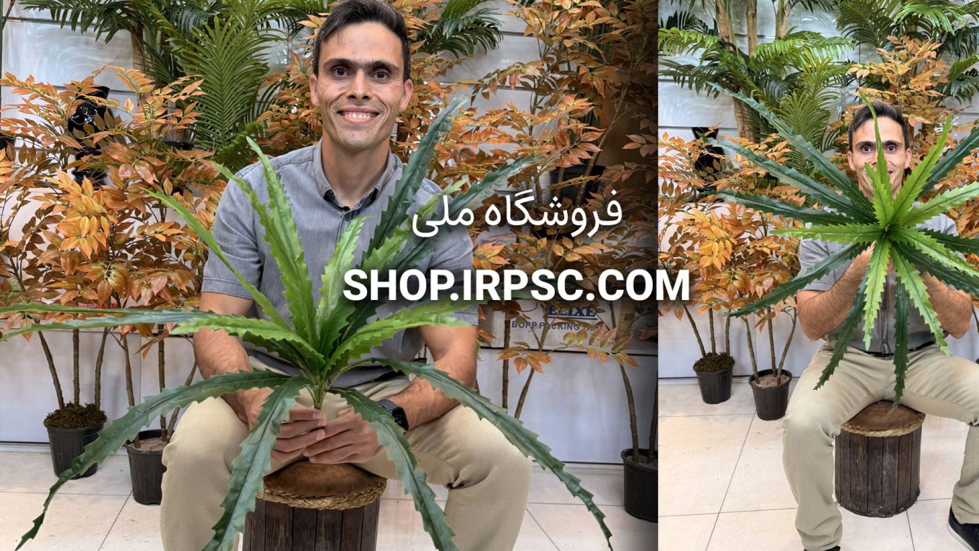 🌿 بوته مصنوعی سرخس ستارهای با طراحی طبیعی و برگهای موجدار 🌿