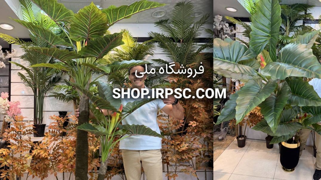 ⁣🌿 درختچه مصنوعی بابا آدم ۲.۱ متری با میوه و برگ‌های بزرگ چرمی 🌿