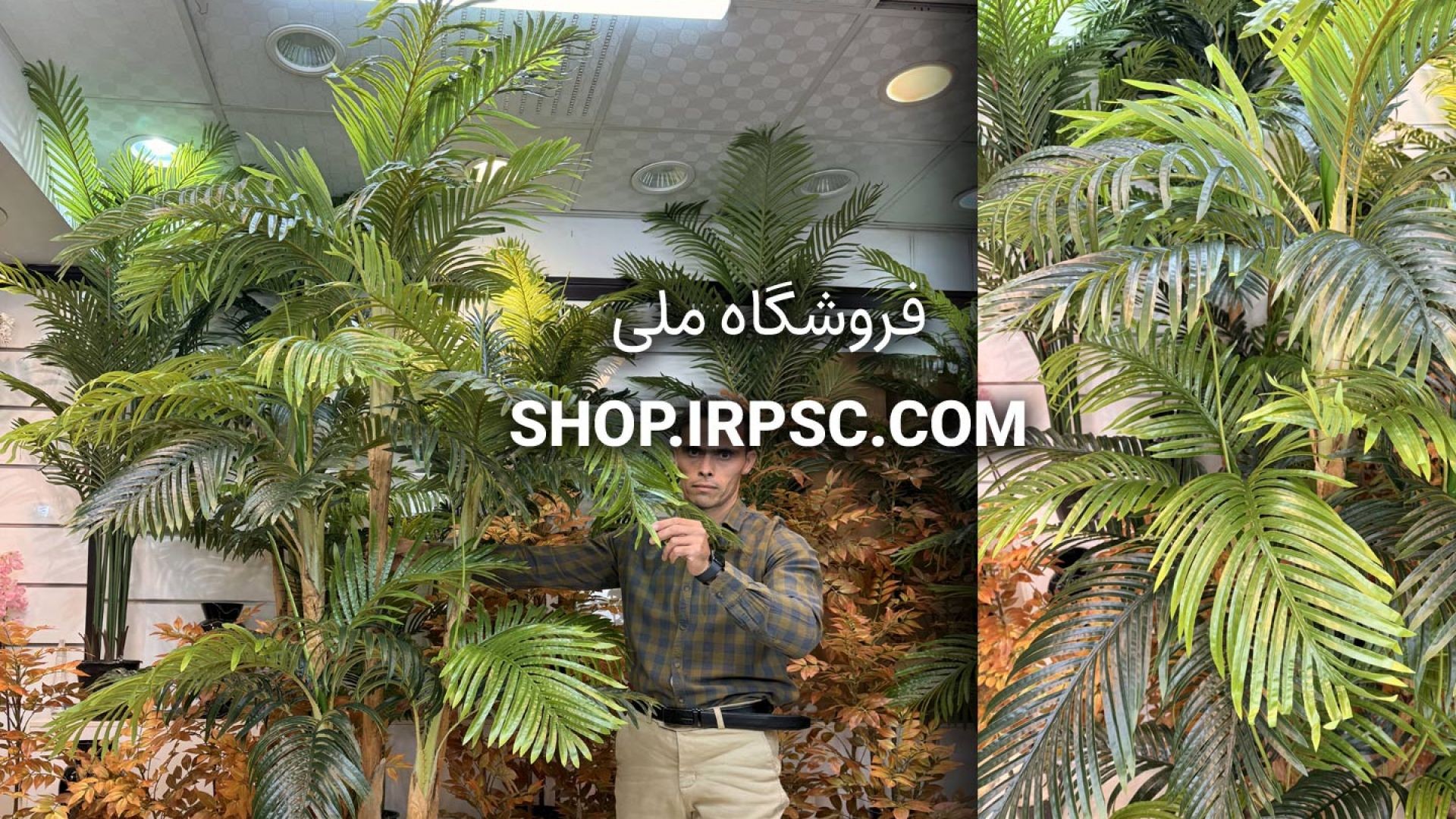 ⁣🌿 درختچه مصنوعی نخل کنتیا ۵ تکه سبز تیره و روشن با ارتفاع ۲۲۰ سانتی‌متر 🌿