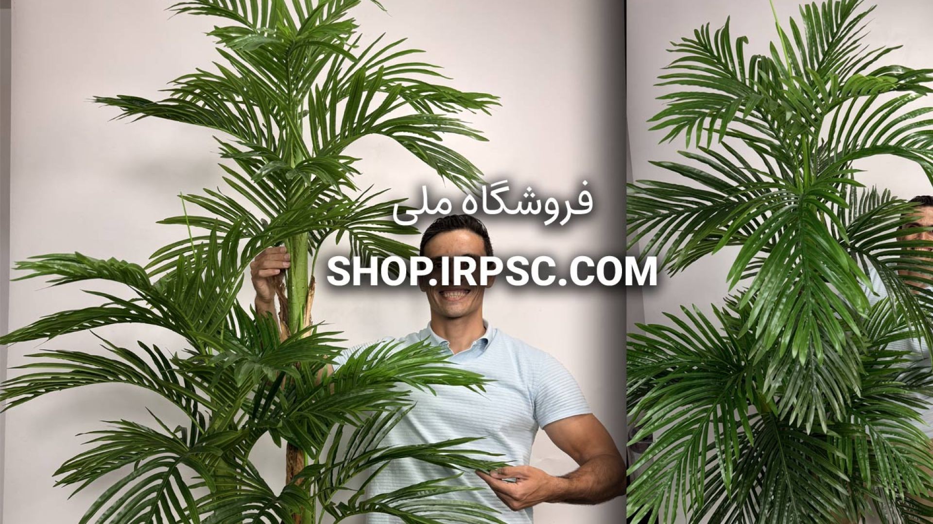 🌴 درختچه مصنوعی نخل کنتیا 3 تنه با روکش پوست موز طبیعی و برگهای لمسی 🌴