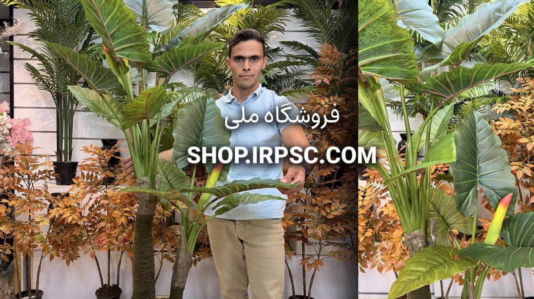 ⁣🌱 درختچه مصنوعی بابا آدم 1.8 متری 2 تنه با میوه و برگ‌های چرمی لمسی 🌱