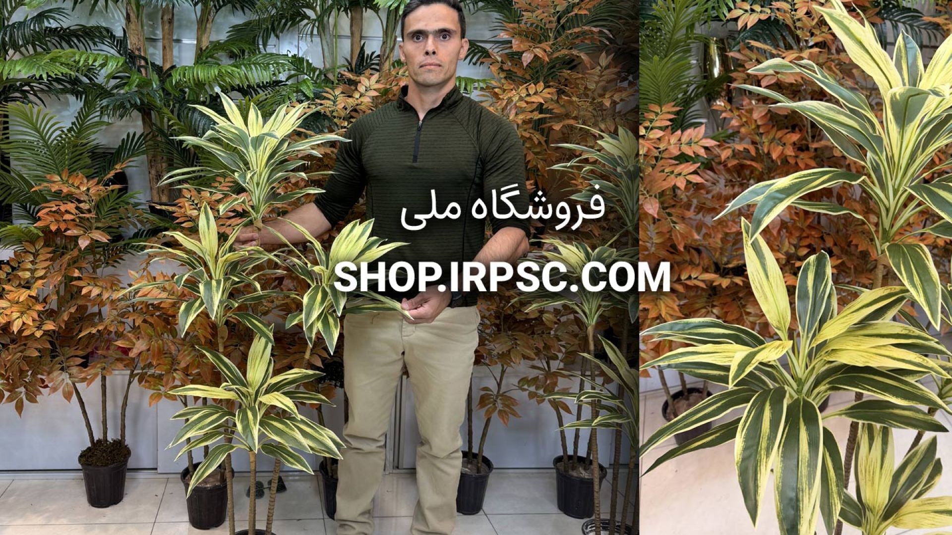 ⁣🌿 درختچه مصنوعی دراسینا ابلق ۴ کوپه با برگ‌های چرمی و ارتفاع ۱.۵ متری 🌿