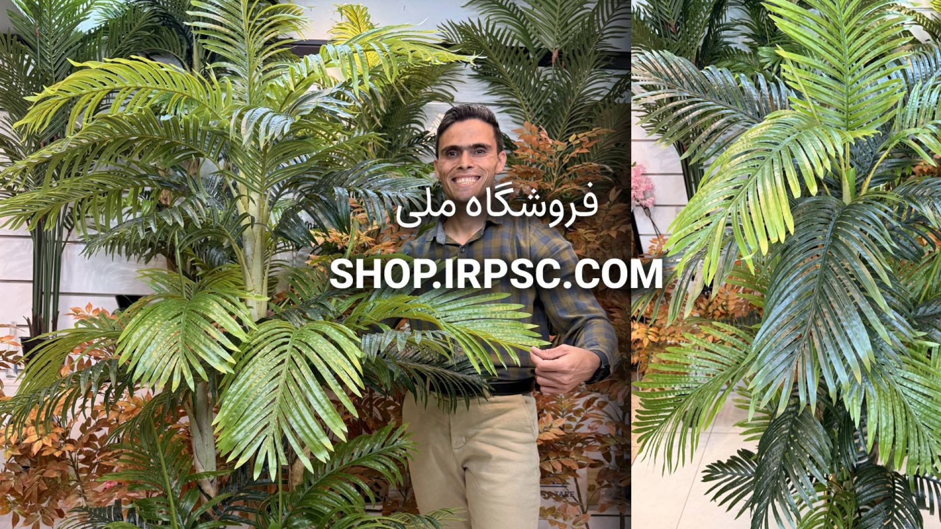 ⁣🌿 درختچه مصنوعی نخل کنتیا سبز تیره و روشن با ۵ تنه طبیعی و تراکم بالا 🌿
