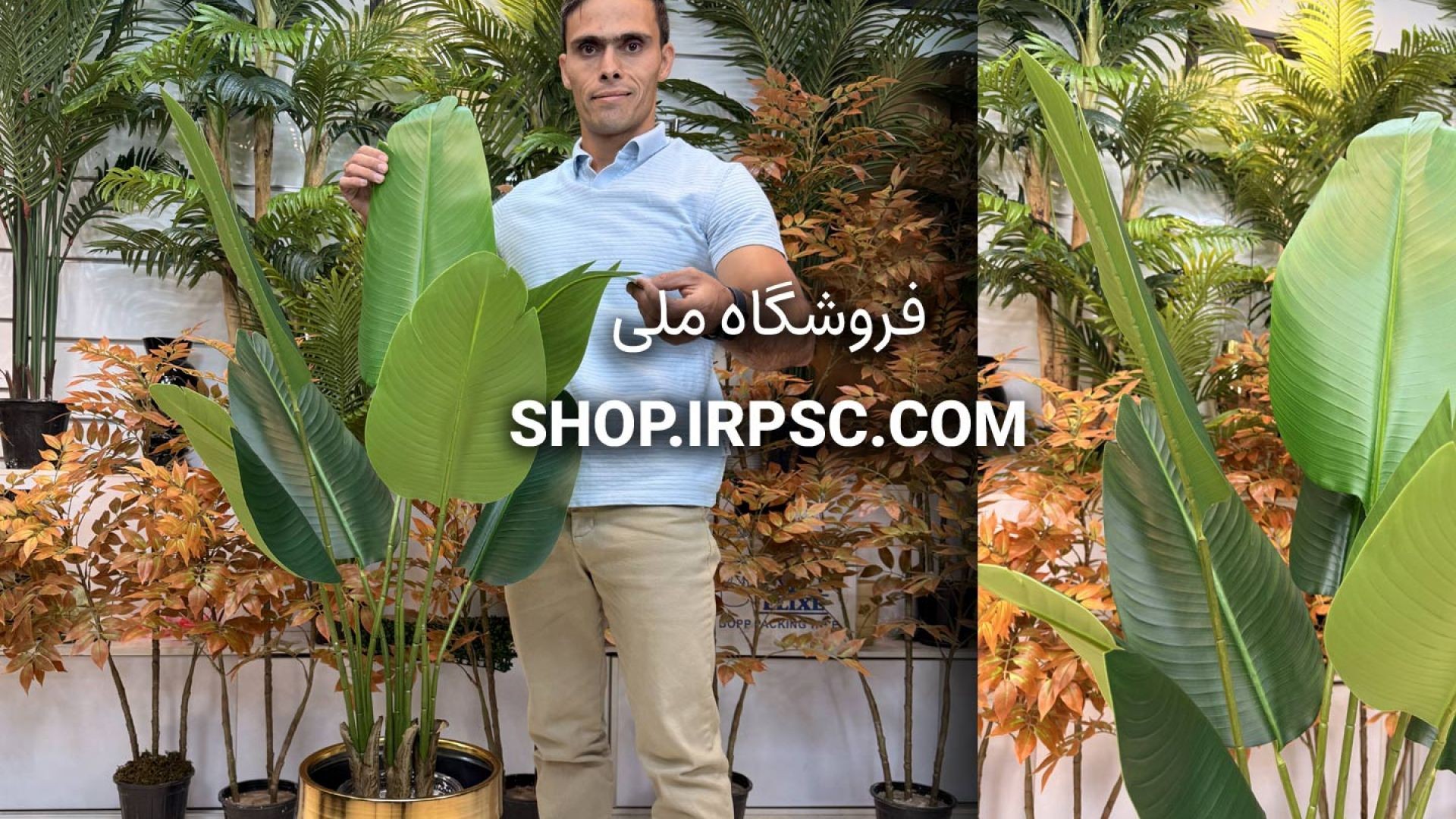 🌺 درختچه مصنوعی پرنده بهشتی ۸ برگ با ارتفاع ۱۳۰ سانتیمتر و تراکم ۶۰ سانتیمتر 🌺