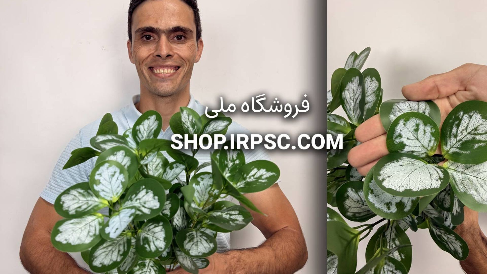 🌿 بوته مصنوعی قاشقی برفکی سبز و سفید با ۵ شاخه پربرگ و شاخه مرکزی فلزی 🌿