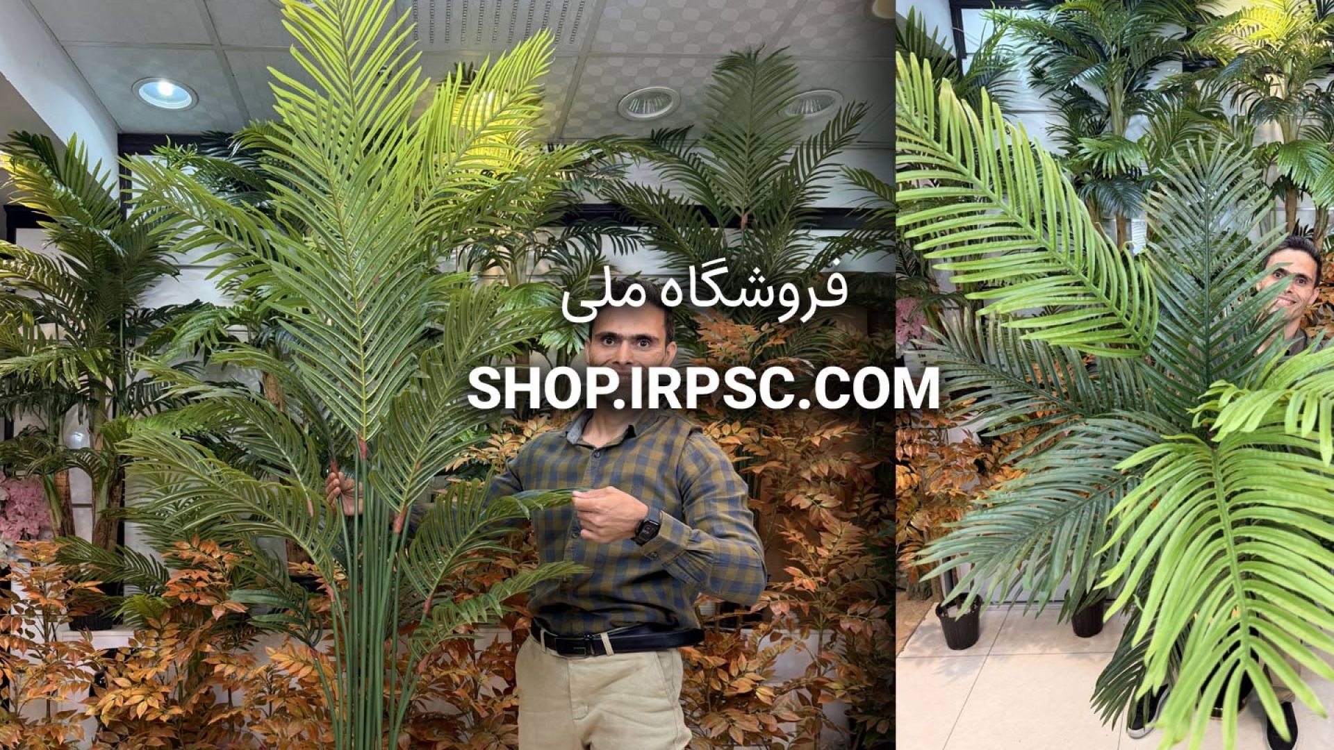 ⁣🌴 درختچه مصنوعی نخل شامادورا با طراحی طبیعی و سبز درخشان 🌴