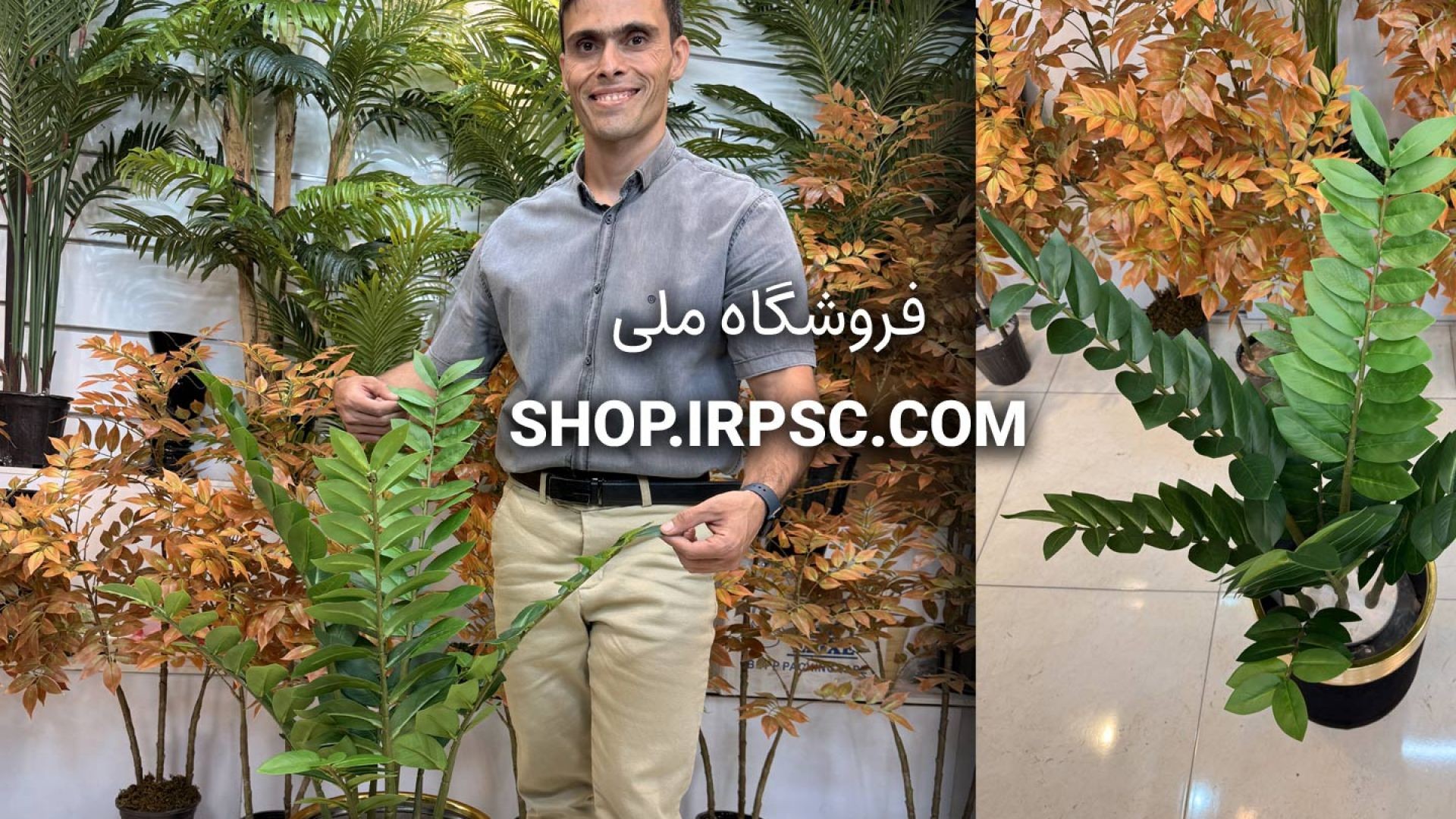 درختچه مصنوعی زامیفولیا ۸ برگ لمسی با طراحی طبیعی و برگهای براق سبز تیره