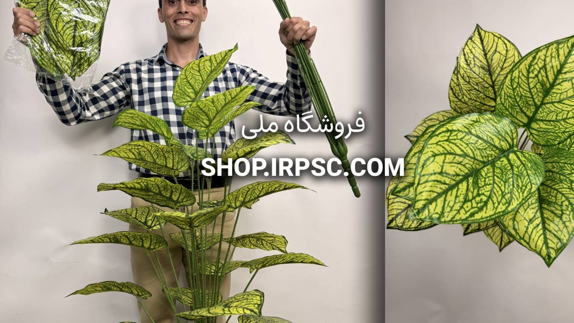 ⁣🌿 درختچه مصنوعی سینگونیوم با ۲۴ برگ و ارتفاع ۹۵ سانتی‌متر 🌿