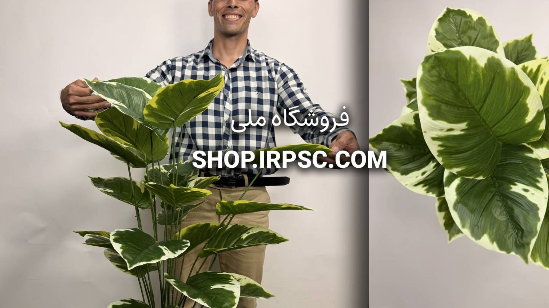 ⁣🌿 بوته مصنوعی پتوس سبز و سفید با ۲۴ برگ و ارتفاع ۹۵ سانتی‌متر 🌿