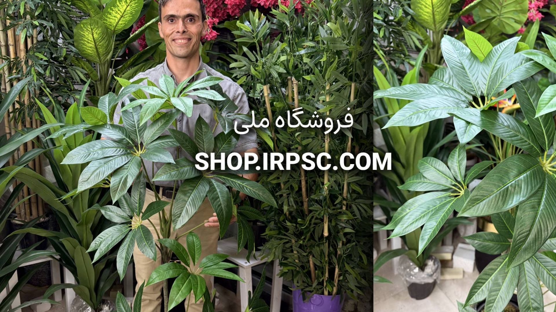 ⁣🌿 درختچه مصنوعی پاچیرا با ۱۴ برگ لمسی و طراحی طبیعی 🌿
