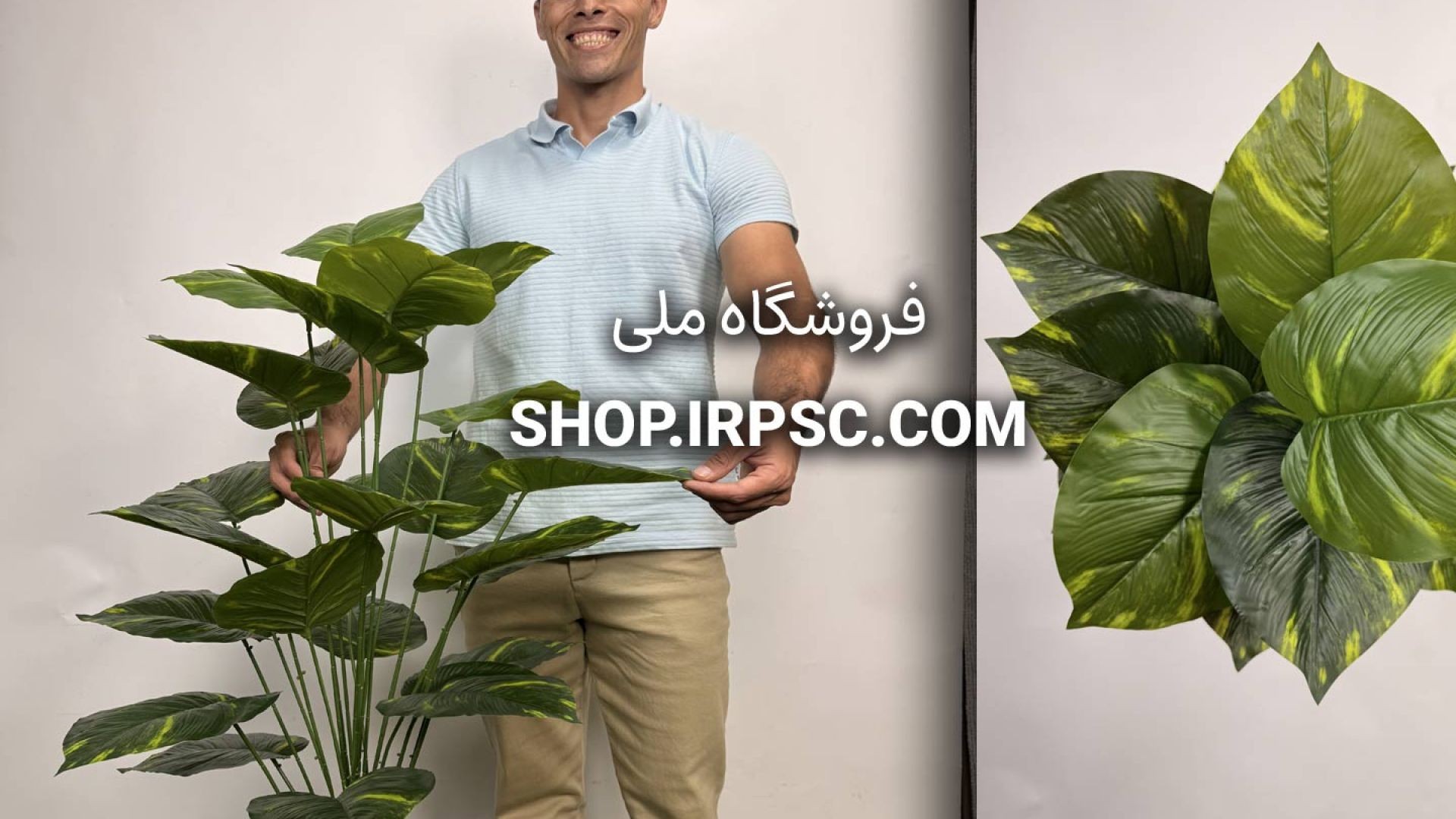 ⁣🌿 بوته مصنوعی پتوس ۲۴ برگ با ارتفاع ۹۵ سانتی‌متر 🌿