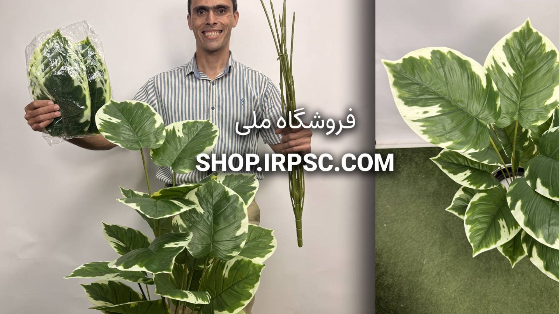⁣🍃 درختچه مصنوعی پتوس سبز و سفید ۱۸ برگ یک متری 🍃
