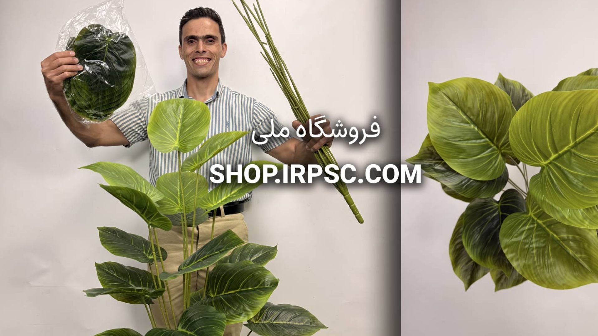 ⁣بوته مصنوعی پتوس سبز