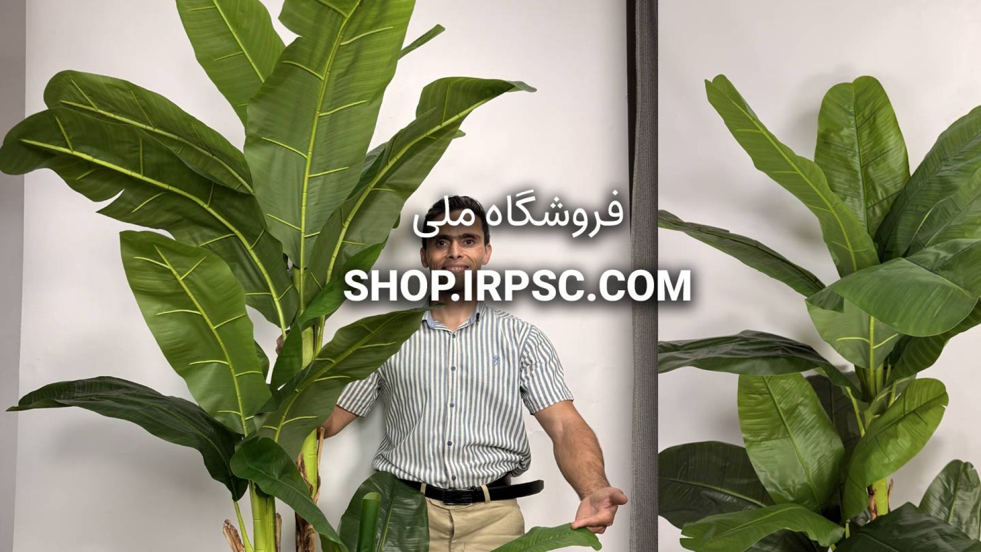 ⁣درختچه مصنوعی موز 3 تکه