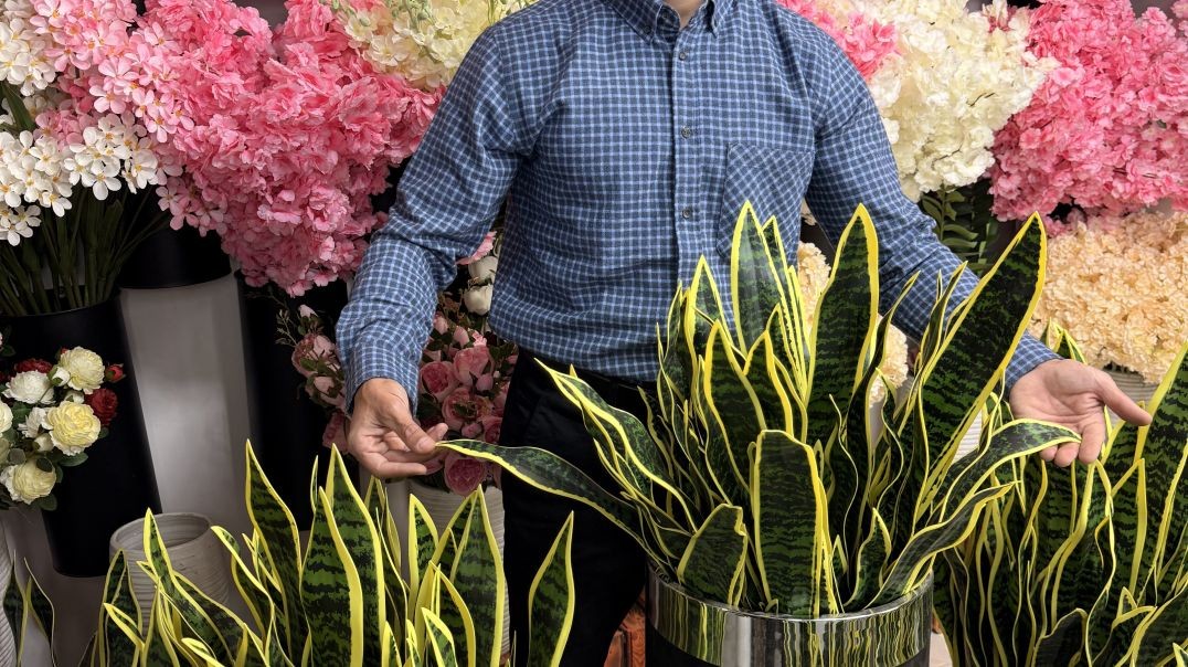 ⁣گل مصنوعی سانسوریا