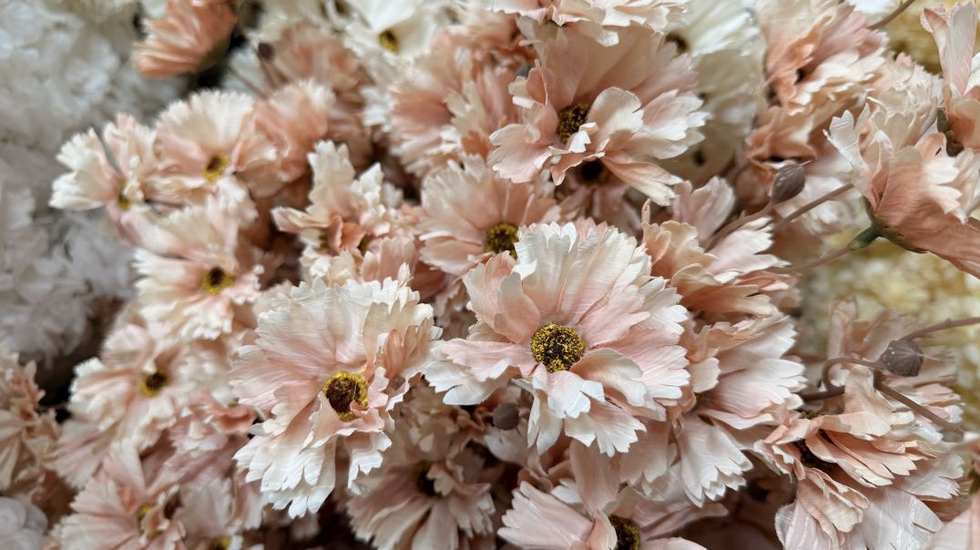 ⁣شاخه گل مصنوعی مینیاتور ۲۲ گل؛ ظرافت طبیعت در ابعاد خیره‌کننده